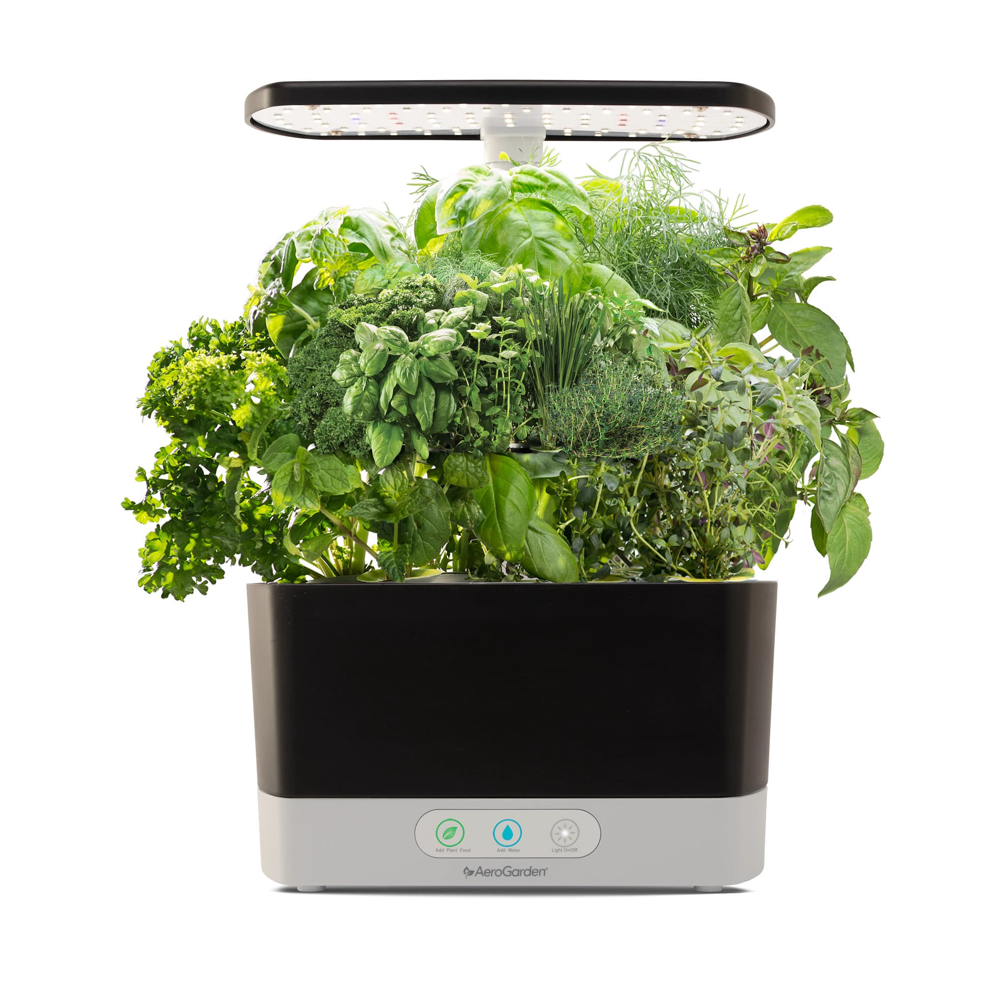 AeroGarden Harvest indoor hydroponic garden with mature herbs growing under its light.