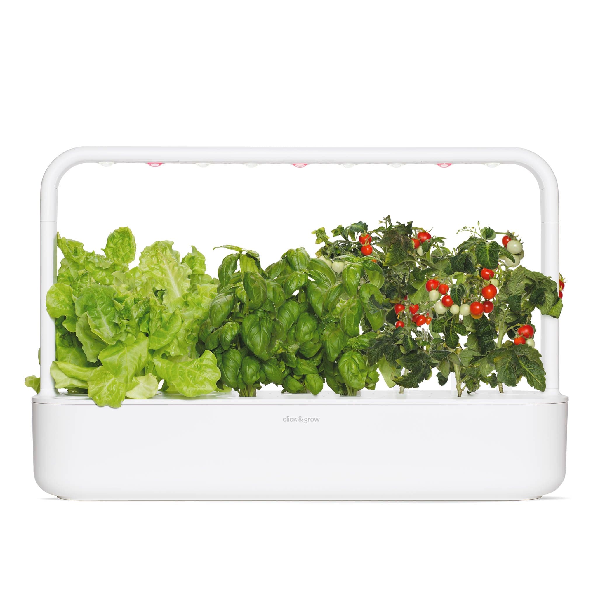 Click & Grow Smart Garden 9 countertop garden with leafy greens and herbs.